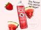 Sparkling ICE Strawberry Watermelon Bottle Single