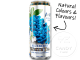 Arizona Blueberry White Tea Single