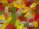 Astra Sweets Sugar Free Gummi Bears 1kg Bag