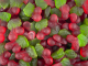 Damel Gummy Cherries 1kg Bag
