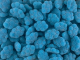 Juicy Jelly Blue Blueberry Clouds 1kg