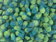 Kingsway UK Mini Fizzy Blue Raspberries 3kg Bag