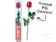 Milk Choc Cylinder Roses Box of 24