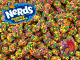 Nerds Gummy Clusters BULK 2.2kg Bag