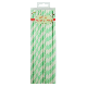 Pastel Green Stripe Paper Straws 20pk
