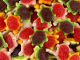 Vidal Filled Gummi Turtles 1kg Bag